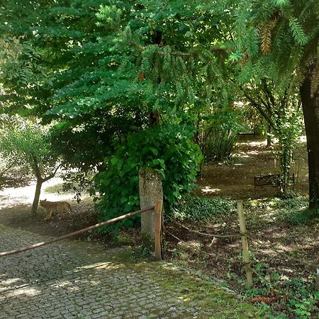 Cabana Da Oliveira Marco de Canaveses Bagian luar foto