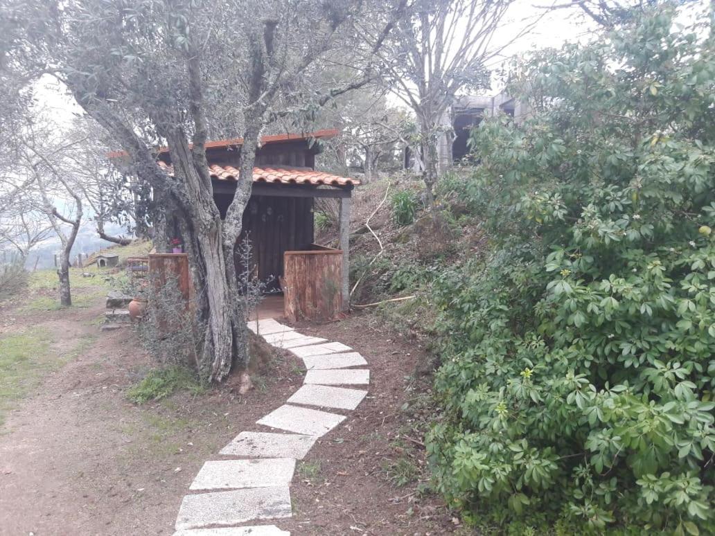 Cabana Da Oliveira Marco de Canaveses Bagian luar foto