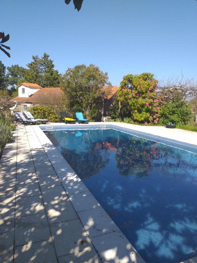 Cabana Da Oliveira Marco de Canaveses Bagian luar foto
