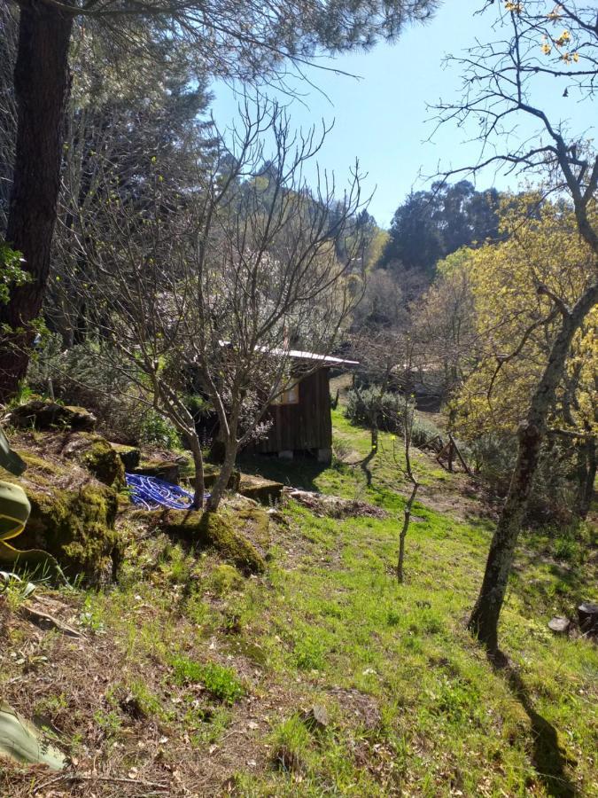 Cabana Da Oliveira Marco de Canaveses Bagian luar foto