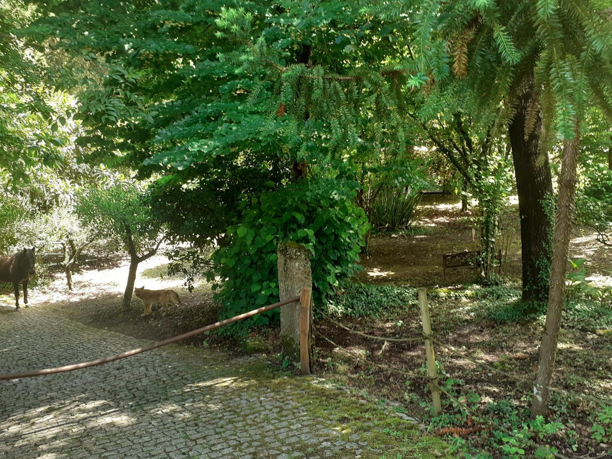 Cabana Da Oliveira Marco de Canaveses Bagian luar foto